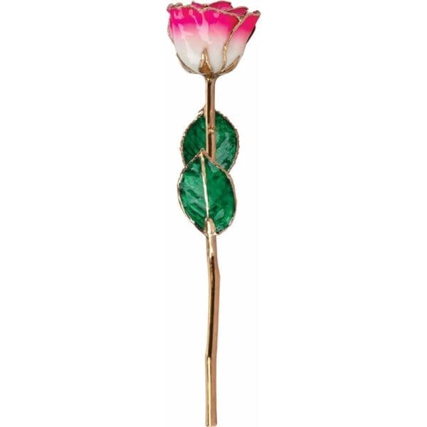 Lacquered Cream Magenta Rose with Gold Trim - Image 3