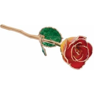 Lacquered Orange Rose with Gold Trim