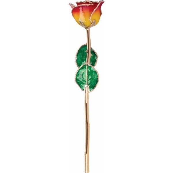Lacquered Sunset Yellow & Red Rose with Gold Trim - Image 3