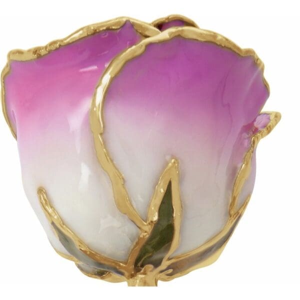 Lacquered Cream Picasso Rose with Gold Trim - Image 2