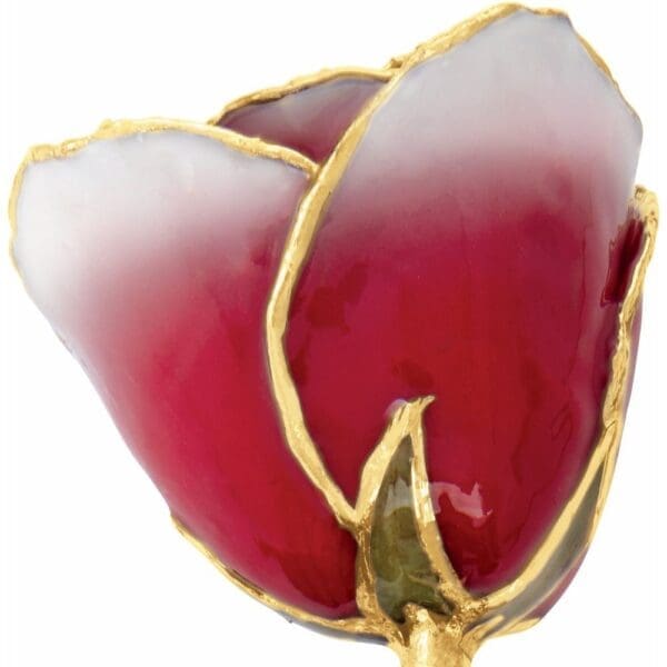 Lacquered Frozen White & Red Rose with Gold Trim - Image 2