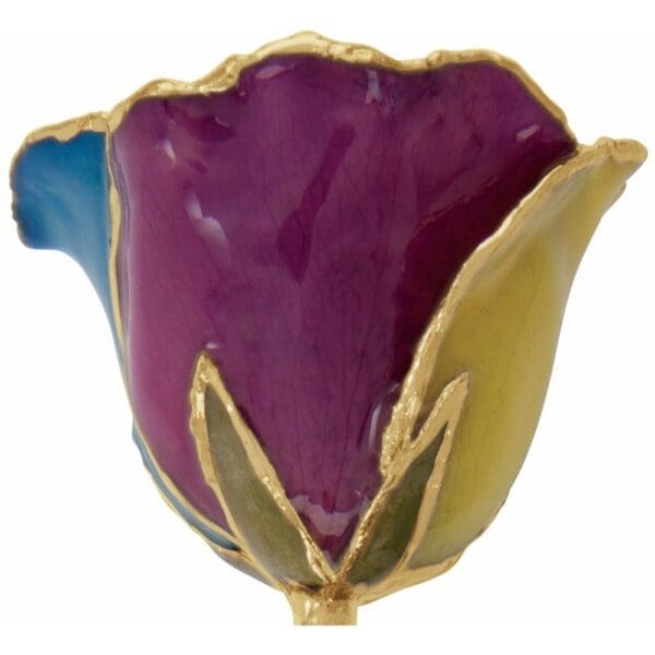 Lacquered Rainbow Rose with Gold Trim - Image 4