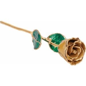 Lacquered Cream Orange Rose with Gold Trim