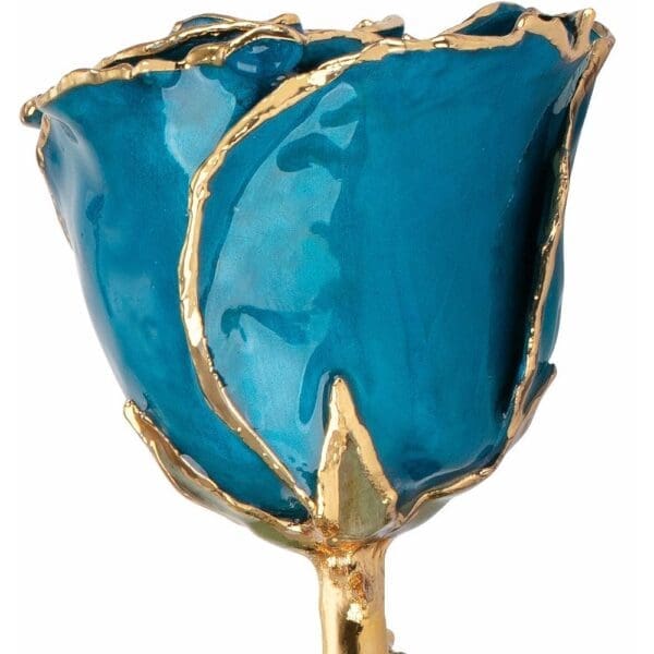 Lacquered Black Rose with Gold Trim - Image 3