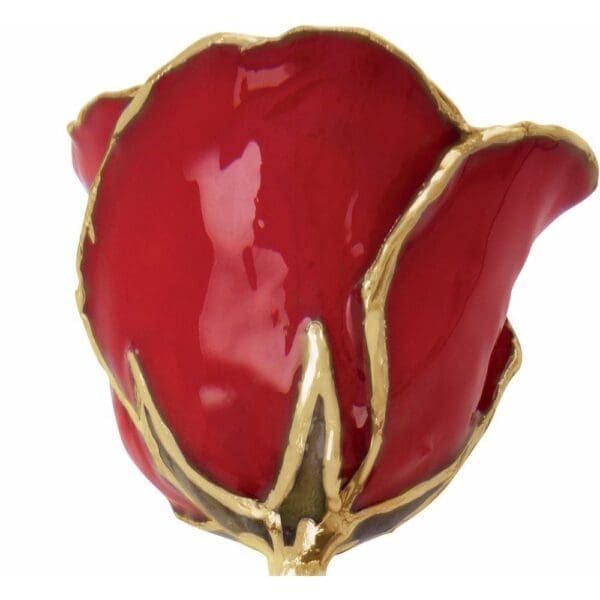 Lacquered Red Rose with Gold Trim - Image 2