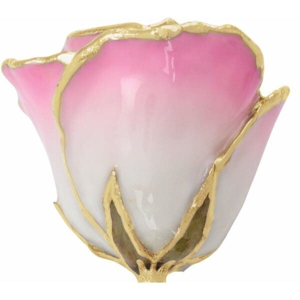 Lacquered Cream Pink Rose with Gold Trim - Image 2