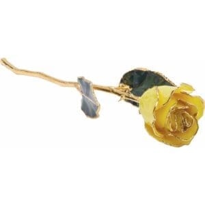 Lacquered Yellow Rose with Gold Trim